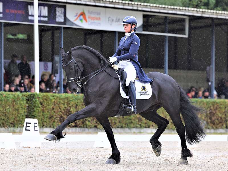 Friese Ruiters Horsify - Ervaren amazone/ruiter (fulltime/parttime) gezocht voor ...